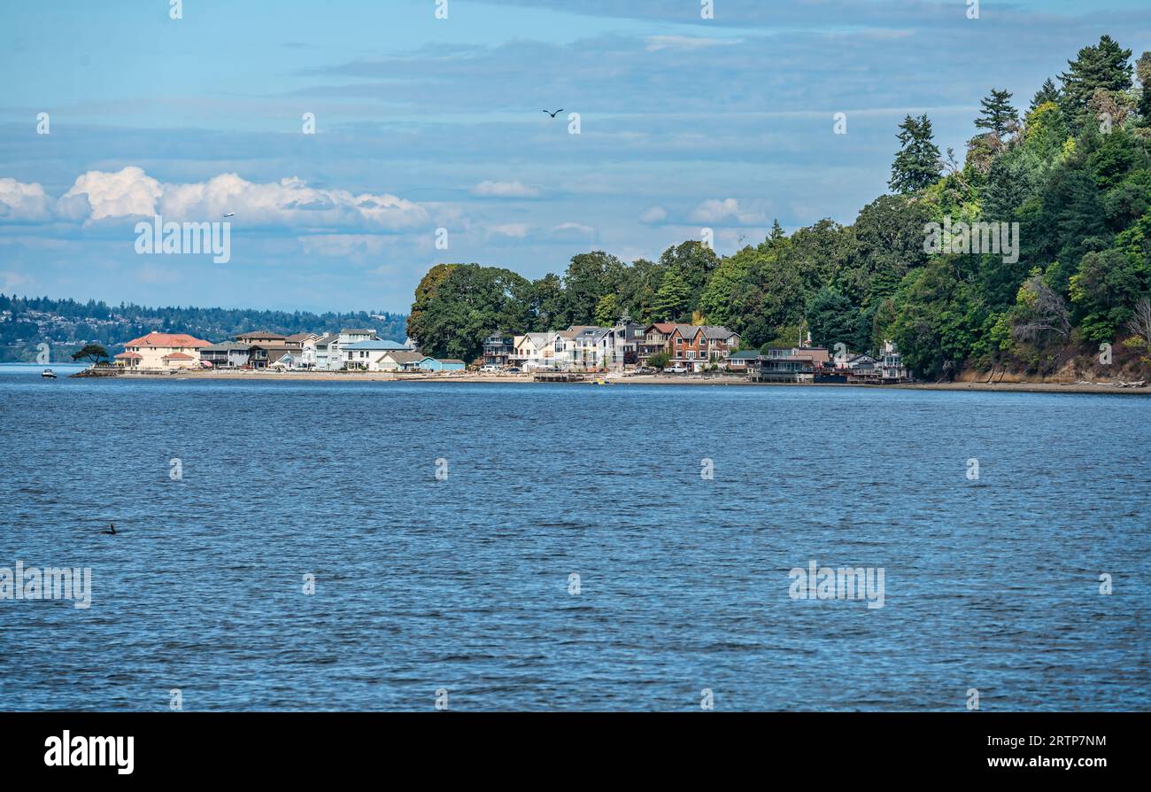 A view of waterfront homes at Dash Point, Washington Stock Photo Alamy