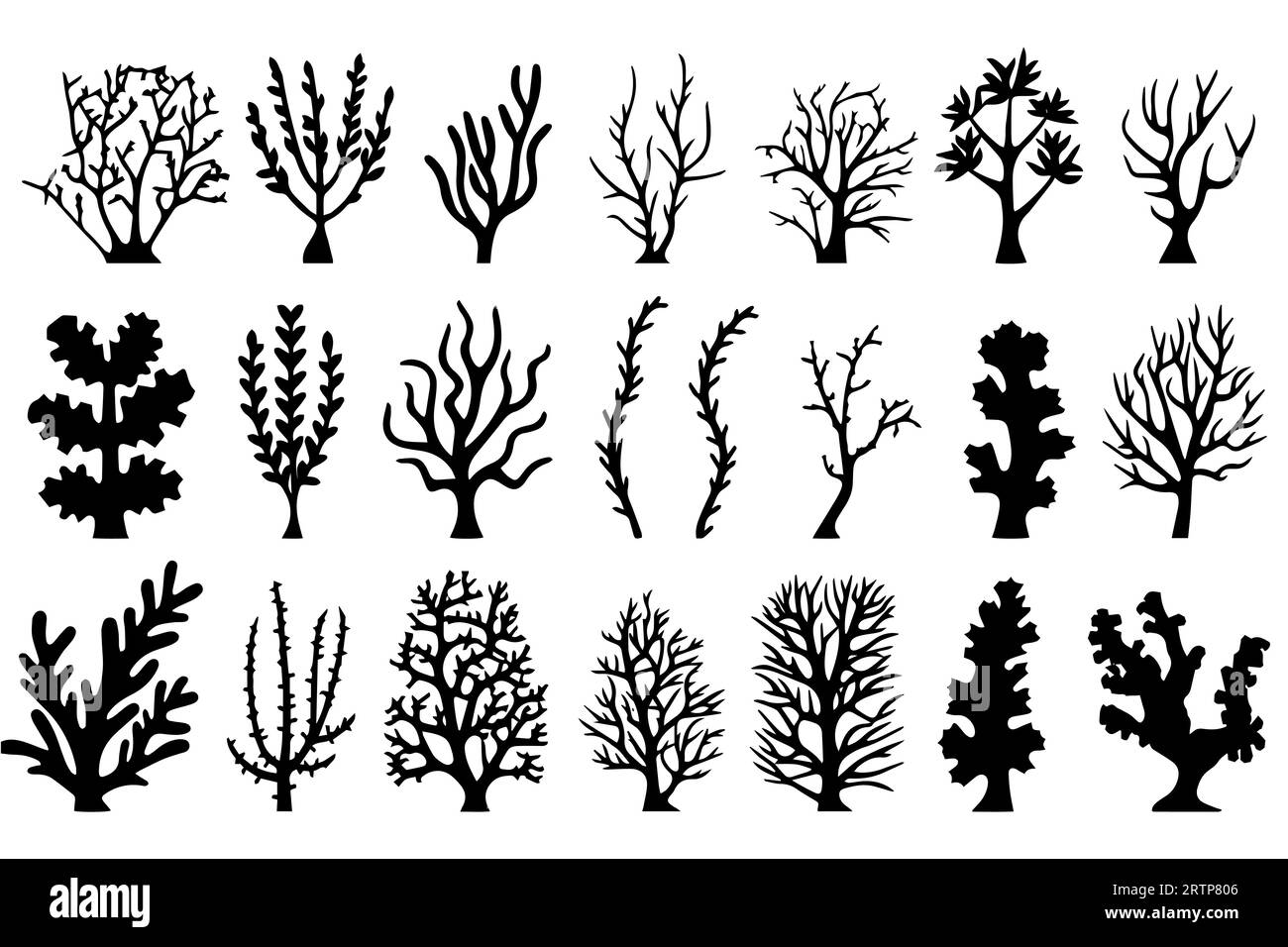 Hand drawn set of corals and seaweed silhouette isolated on white ...