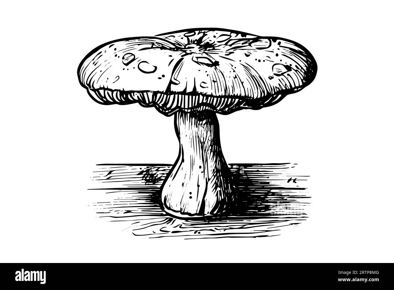 Fly agaric mushroom hand drawn sketch. Engraving vintage style vector ...