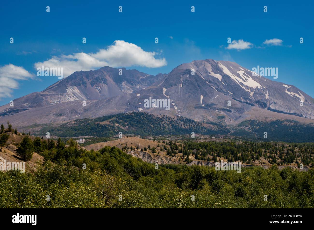 WASHINGTON, USA Mount St. Helens National Volcanic Monument, Gifford