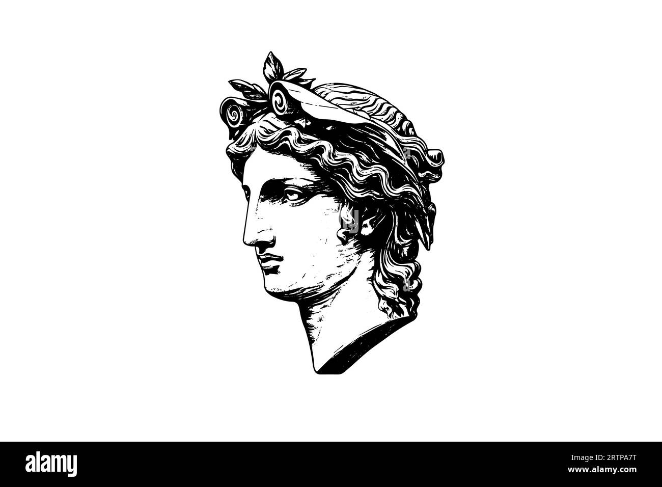 Antique statue head of greek sculpture sketch engraving style vector