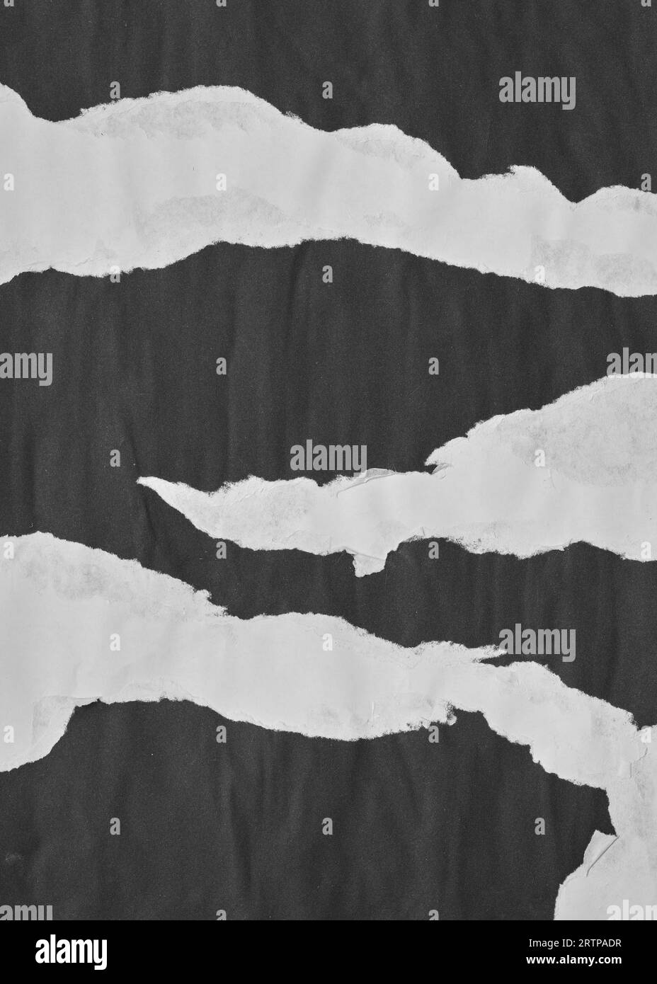 Black and White Torn Paper Collage Style, Ripped Paper Effect, Texture Abstract Background, Copy