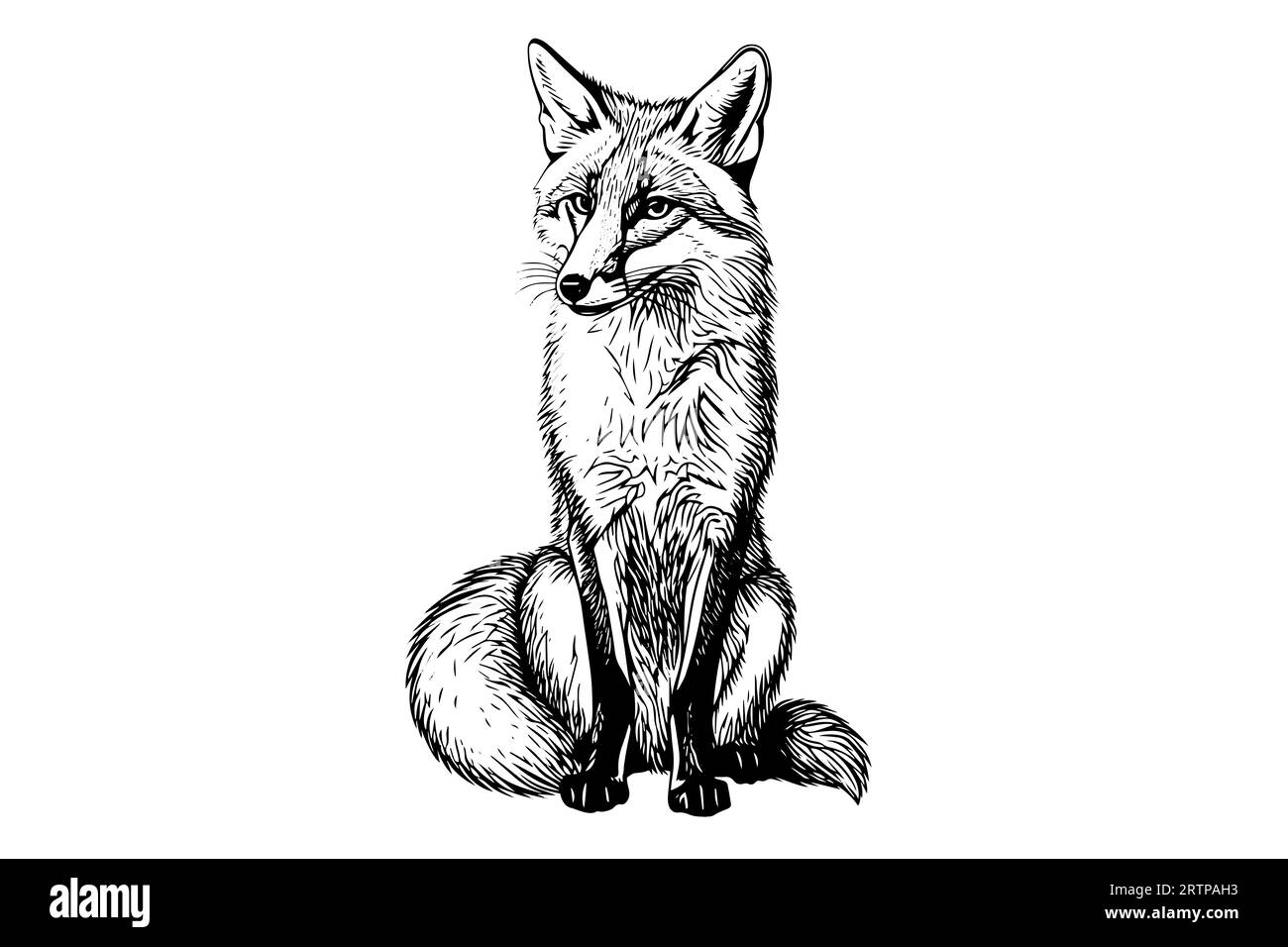 Fox sitting hand drawn ink sketch. Engraving vintage style vector ...