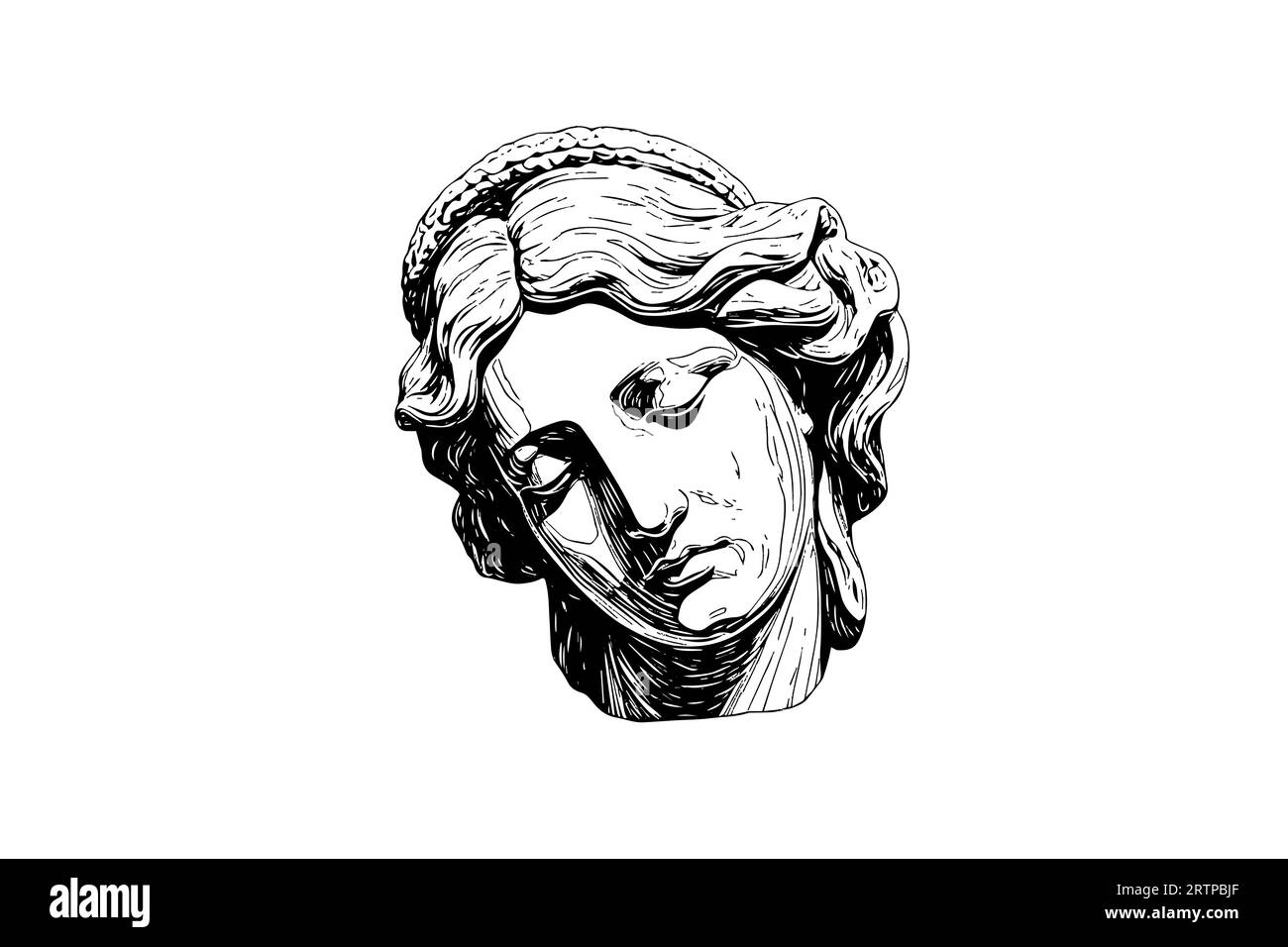 Antique statue head of greek sculpture sketch engraving style vector