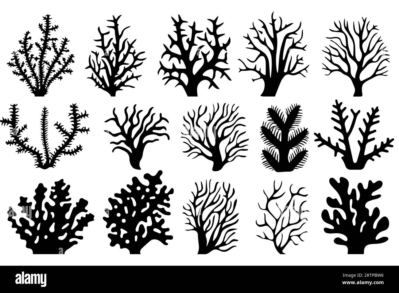 Hand drawn set of corals and seaweed silhouette isolated on white ...
