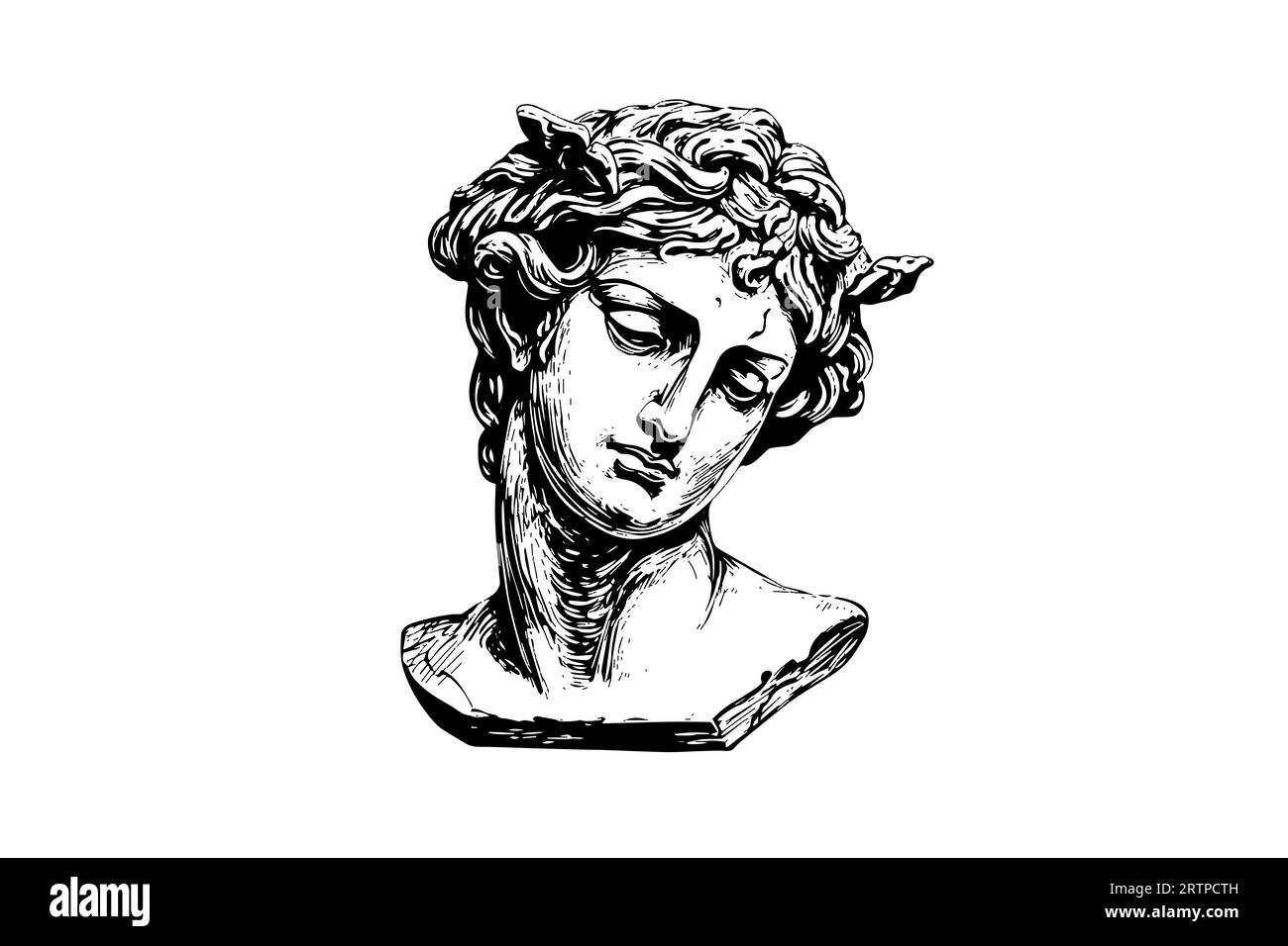 Antique statue head of greek sculpture sketch engraving style vector