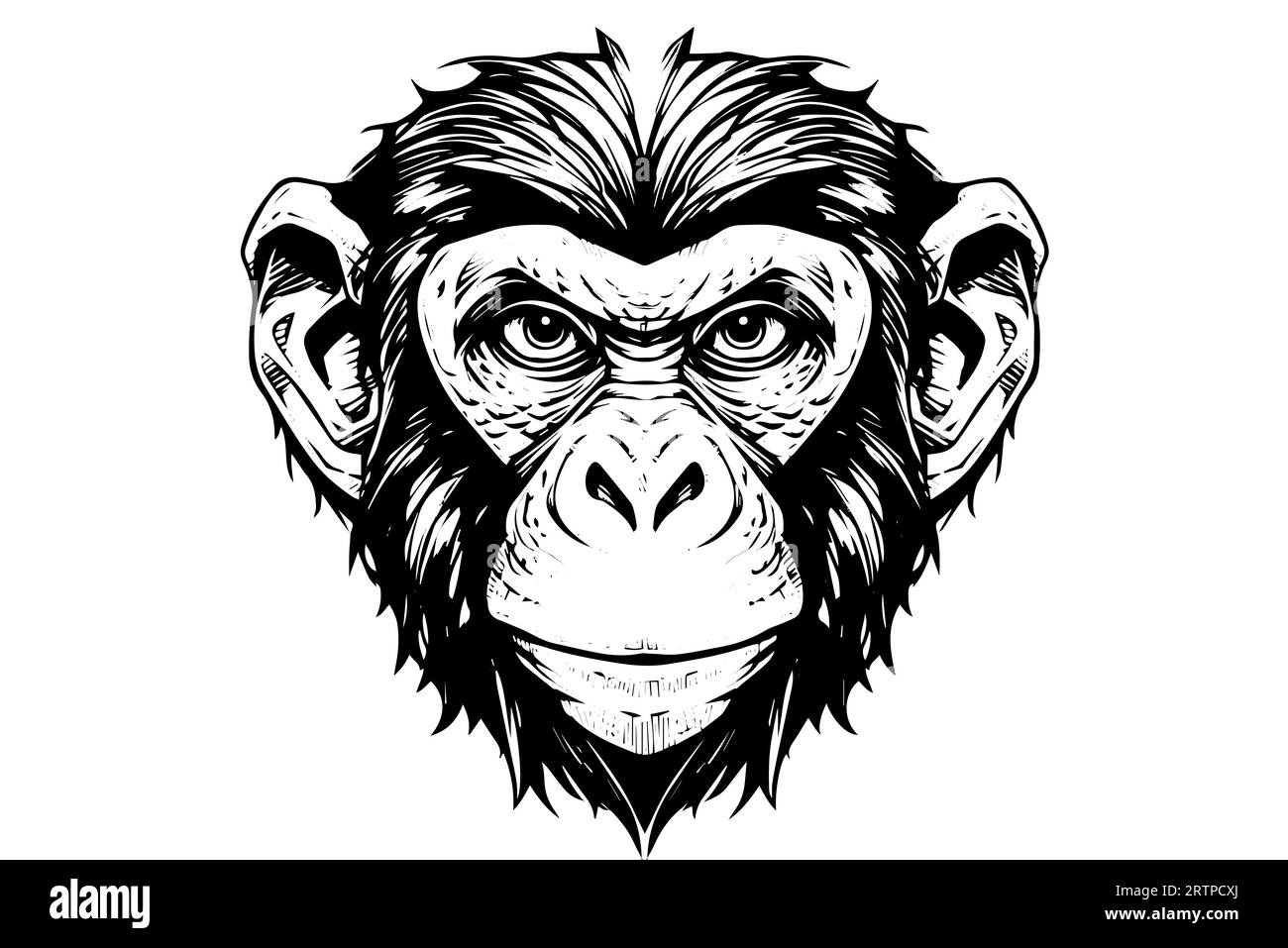 Monkey head or face hand drawn vector illustration in engraving style ink sketch. Stock Vector