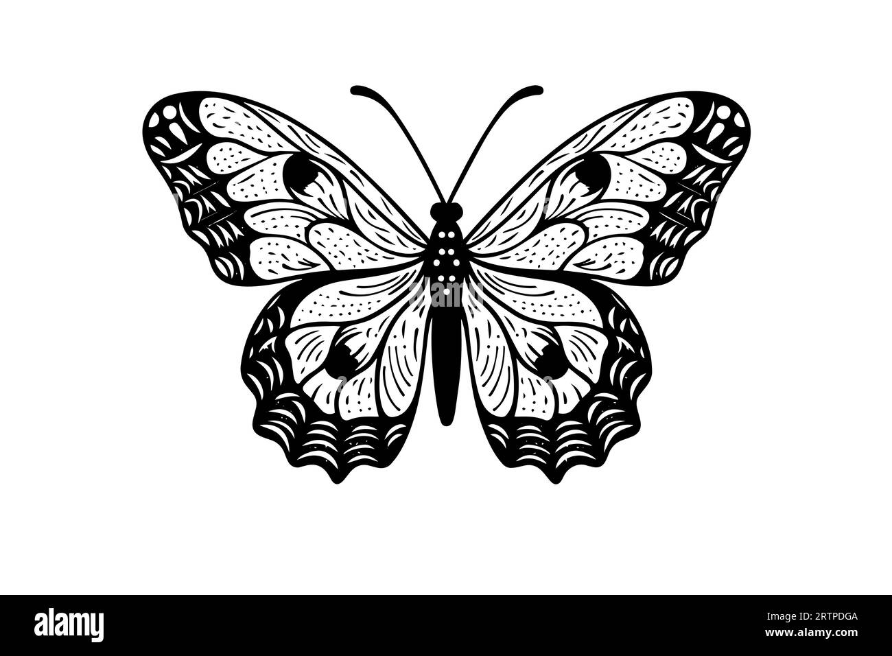 Engraving of Butterfly Engraving of Butterfly