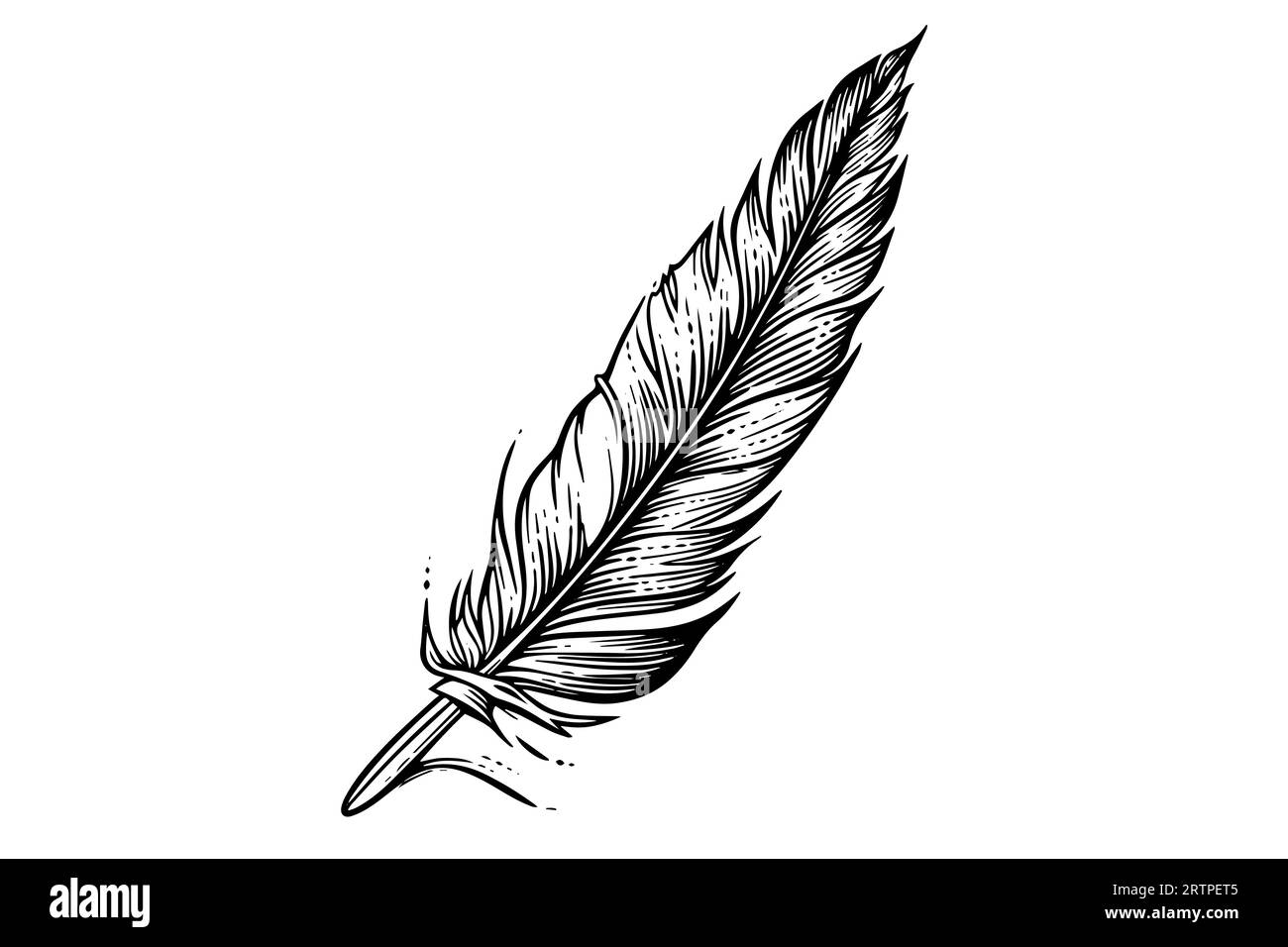 Quill pen etching hi-res stock photography and images - Alamy