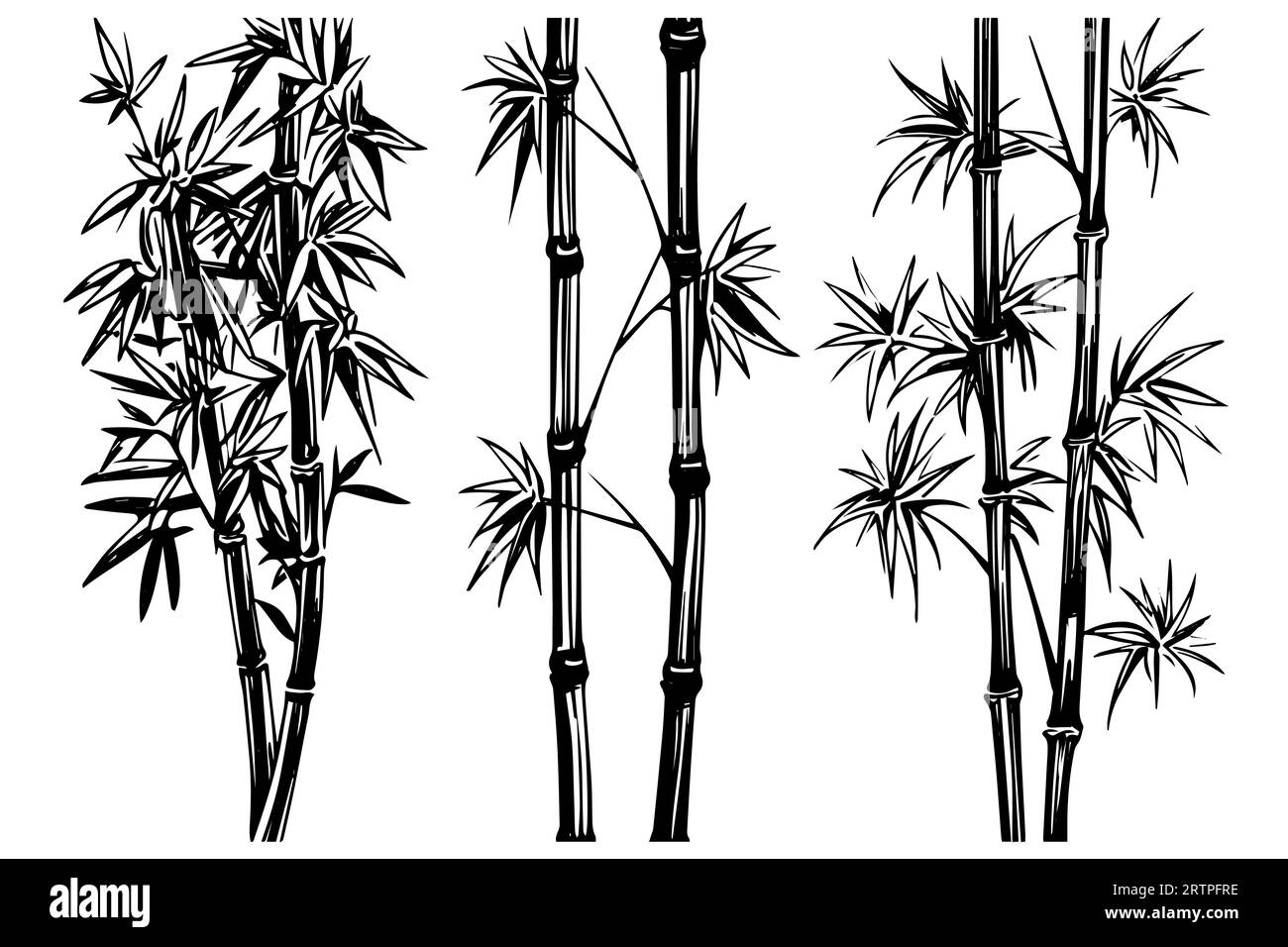 Bamboo Clip Art, HD Png Download - kindpng, image size:1300x956