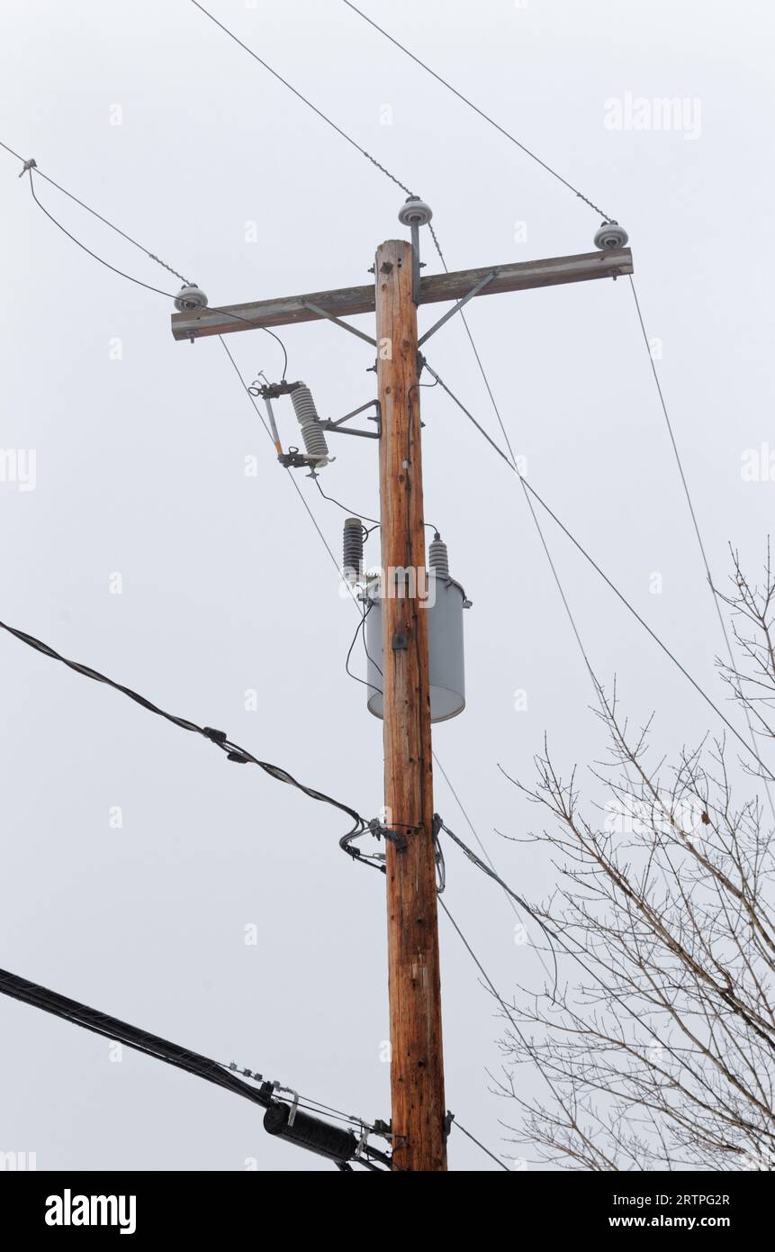 Wood utility pole in the rain. Quebec,Canada Stock Photo