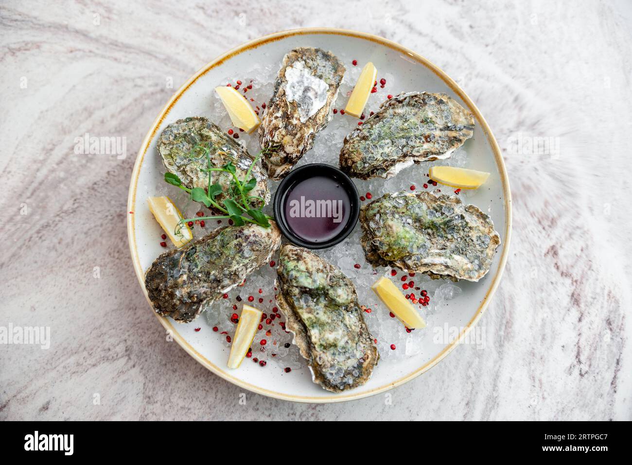 Plate with oysters on ice with lemon and sauce on a marble table Stock Photo