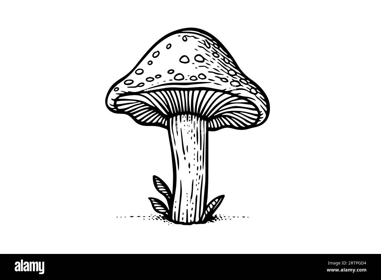 Fly agaric or amanita mushrooms group growing in grass engraving style. Vector illustration. Stock Vector