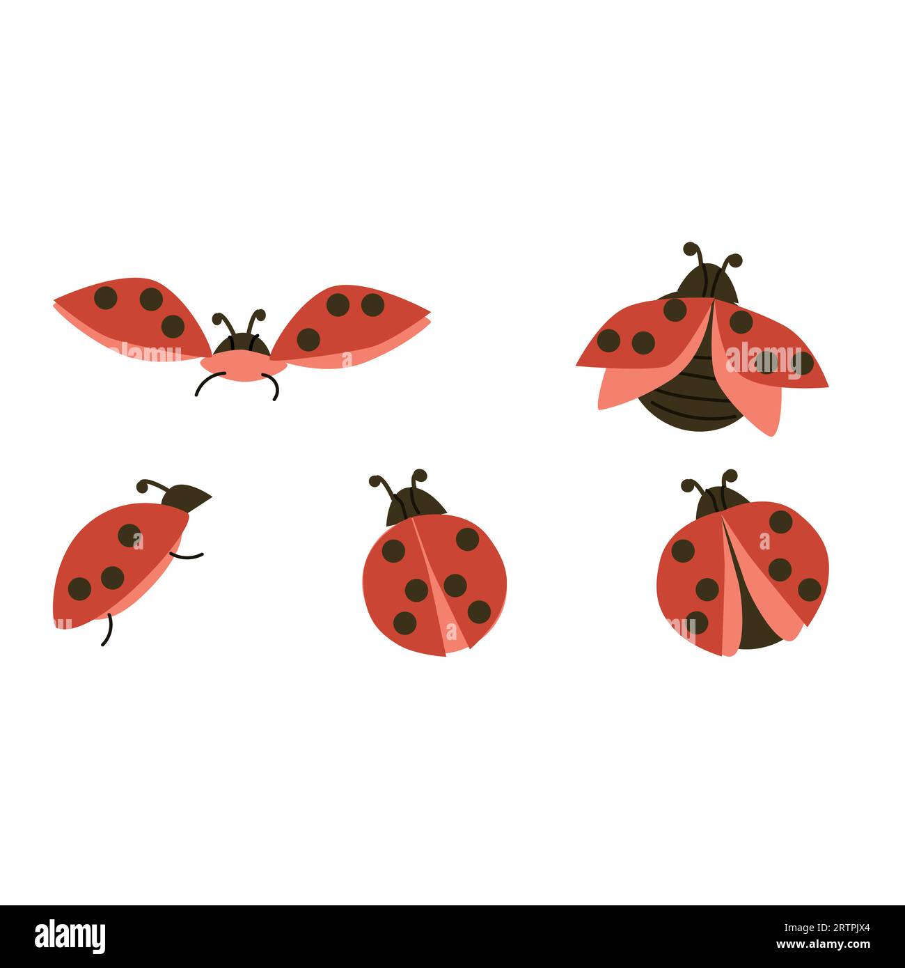 set of red bugs and beetles flying - vector illustration Stock Vector ...