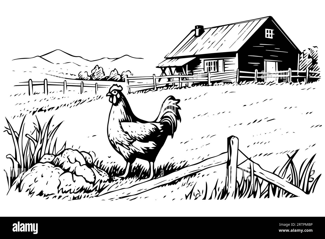 Chickens in farm sketch. Rural landscape in vintage engraving style vector illustration. Stock Vector