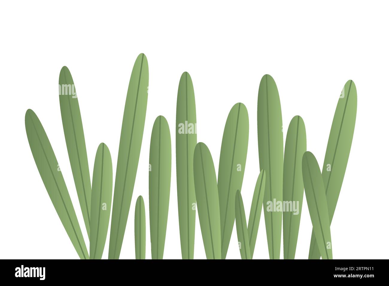 blades of green grass vector illustration Stock Vector Image & Art Alamy