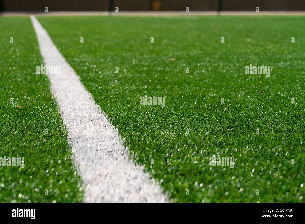 soccer field markings. Soccer, football field. Lines on football