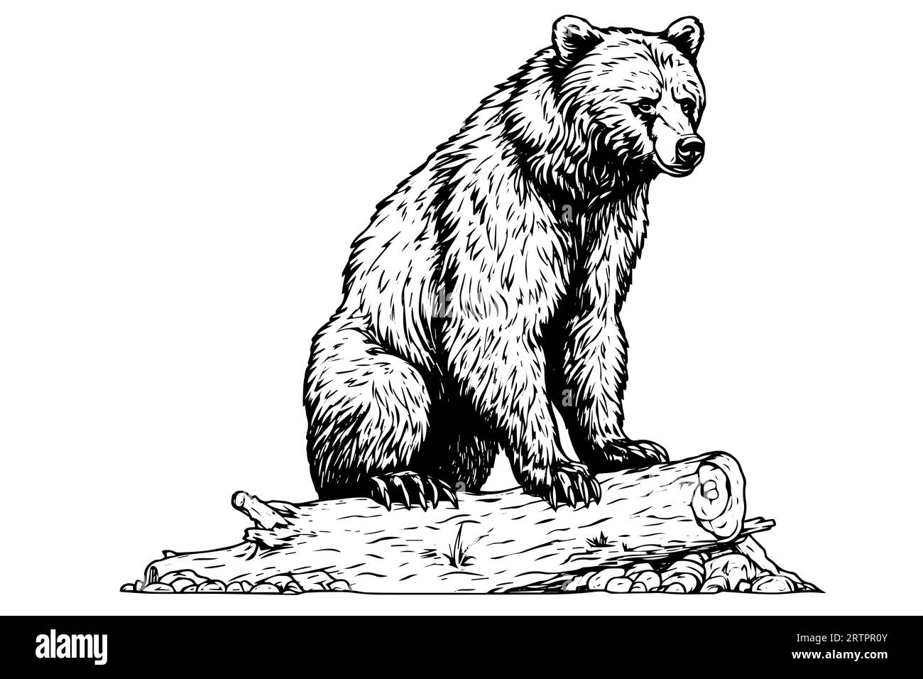 Ink hand drawing sketch bear bear sitting on a log. Vector Illustration in engraving style. Stock Vector