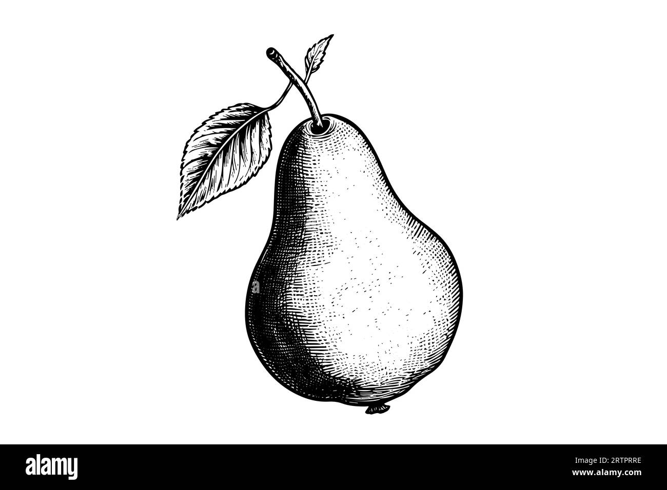 Pear. Ink sketch isolated on white background. Hand drawn vector