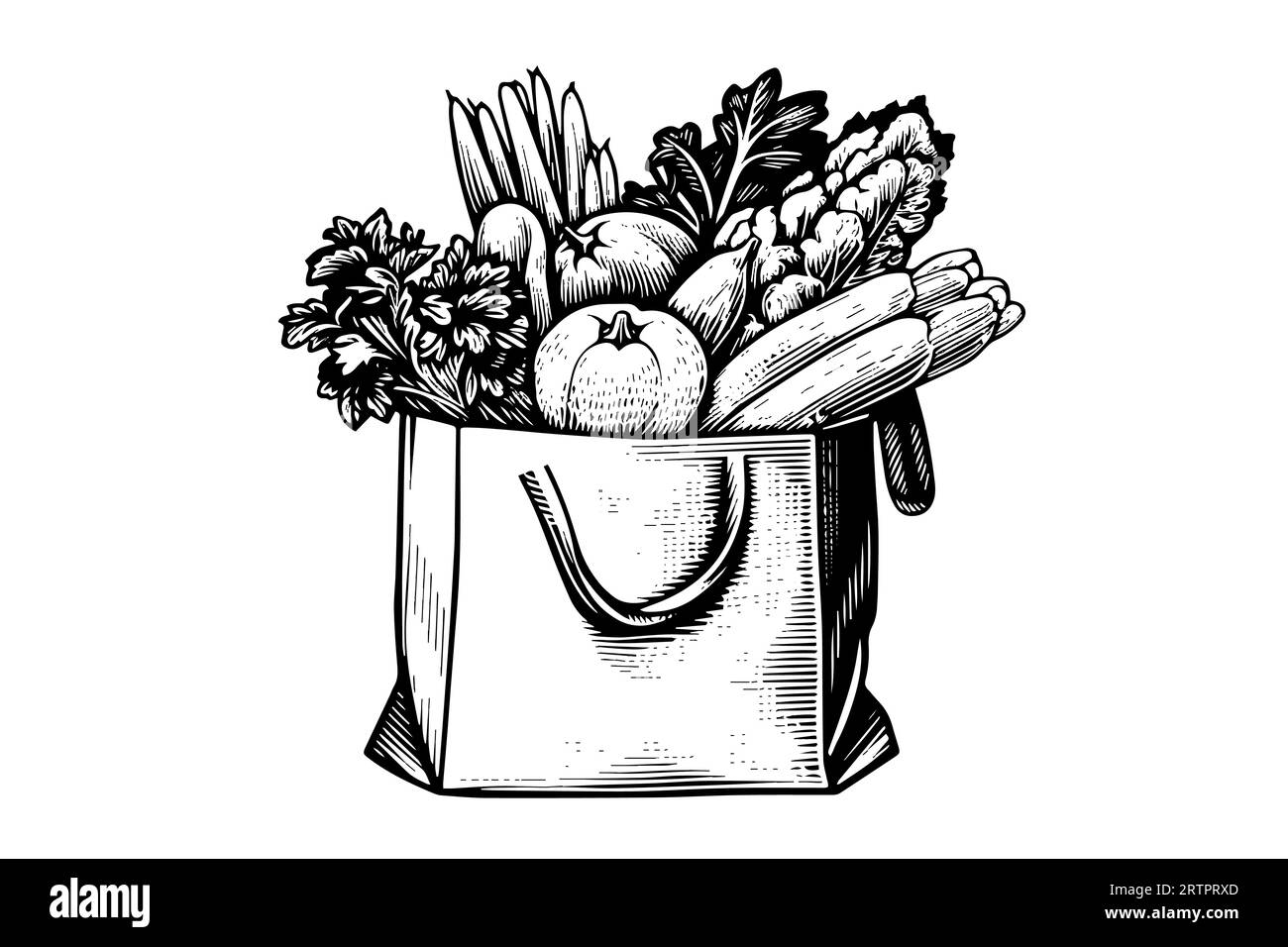 Grocery bag full of food engraving sketch vector handdrawn