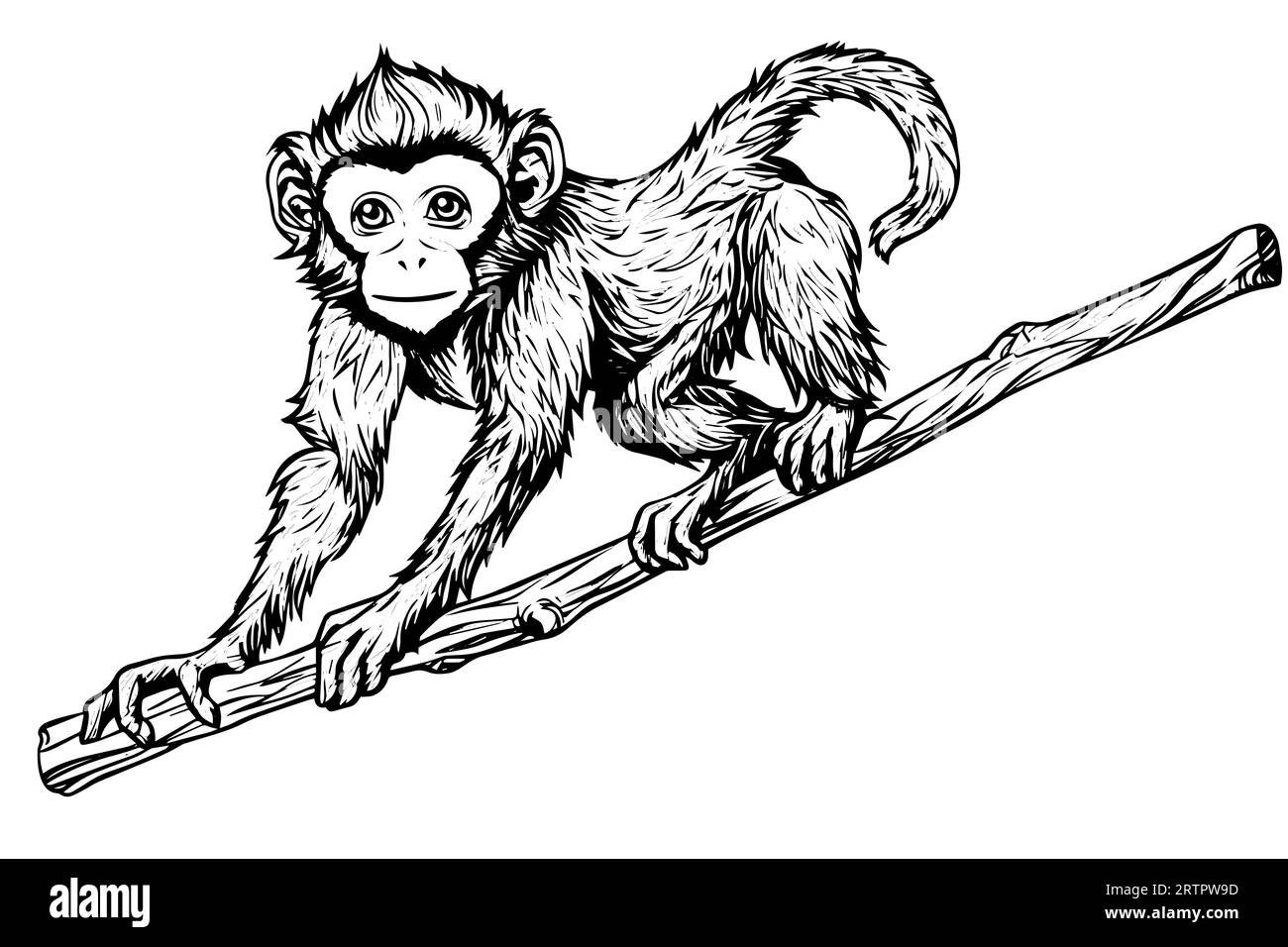 Monkey sitting on a branch. Ink sketch engraving vector illustration