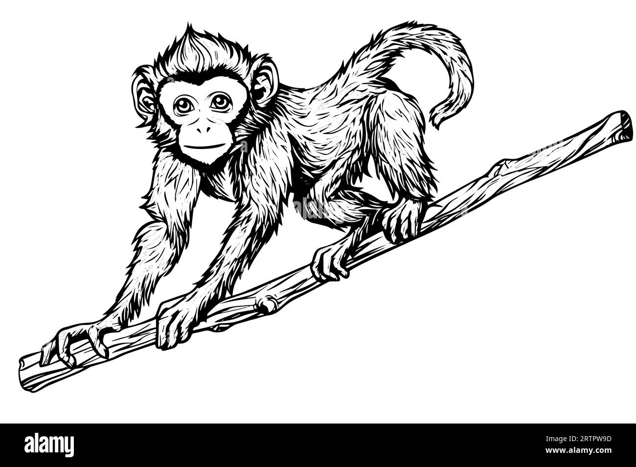 Monkey sitting on a branch. Ink sketch engraving vector illustration. Stock Vector