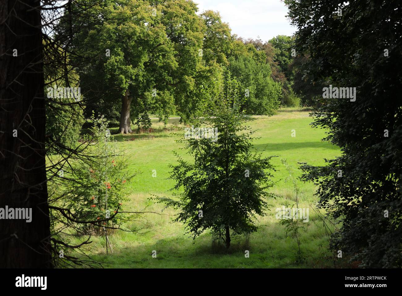 Dunster castle detail hires stock photography and images Alamy