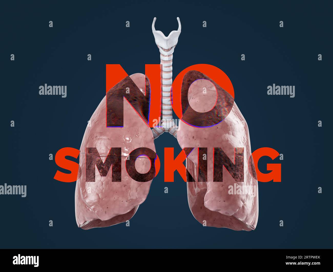 No smoking graphic concept. Healthy lungs with No Smoking text on it