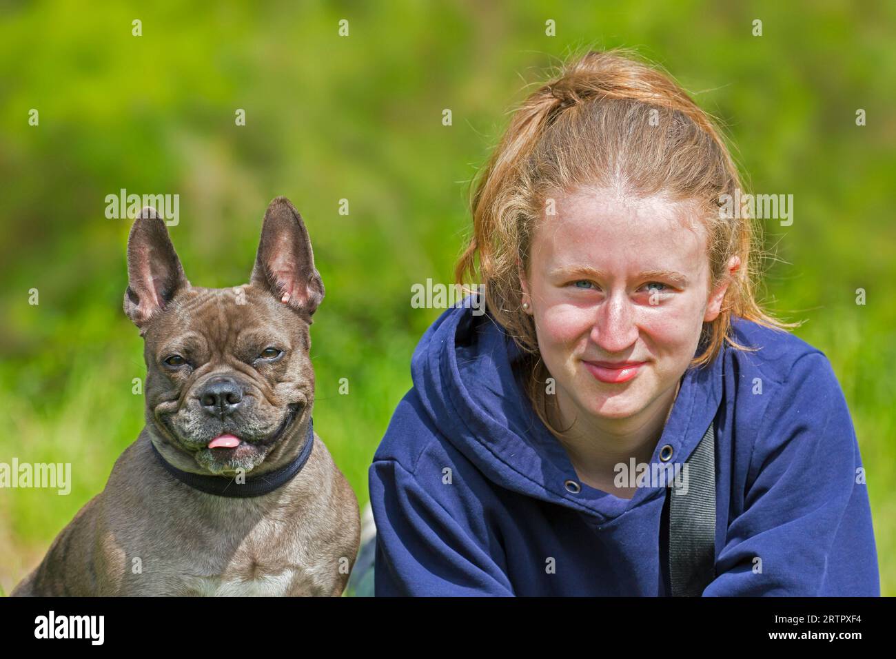 Girl posing with Lilac French bulldog / Isabella frenchie / Bouledogue Français, breed of French companion dog or toy dog in garden Stock Photo
