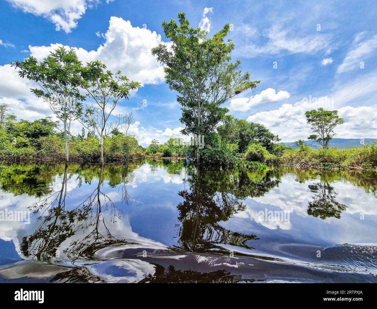 Canoe tour on the Pantanal Marimbus, waters of many rivers and abundant ...
