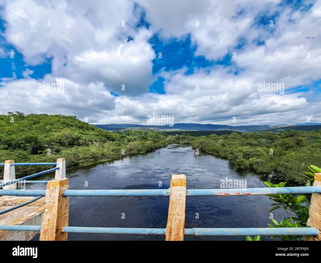 Canoe tour on the Pantanal Marimbus, waters of many rivers and abundant ...