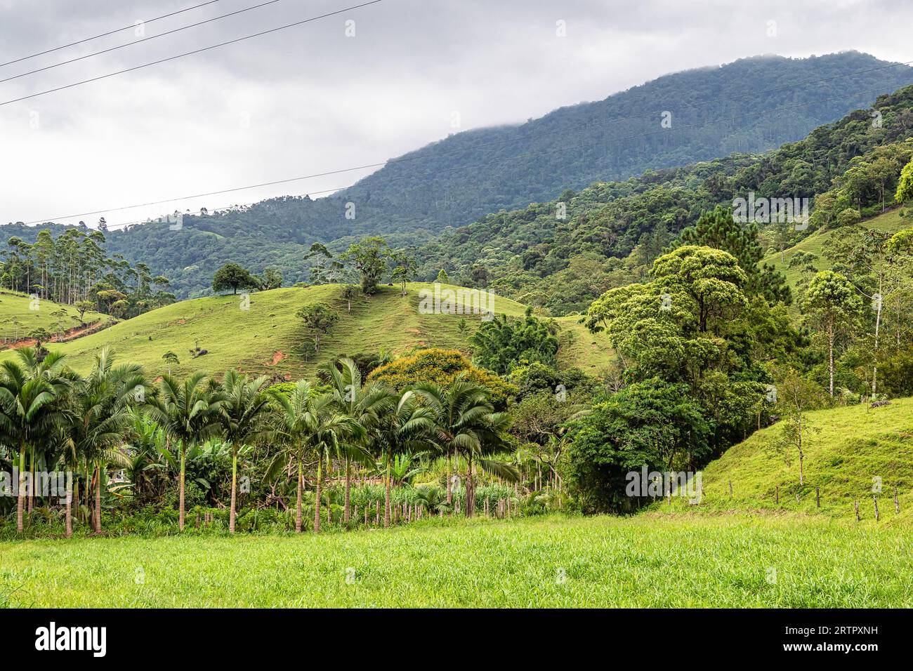 Green fields and meadows in the countryside of german immigrants of Pomerode, Santa Catarina in Brazil Stock Photo