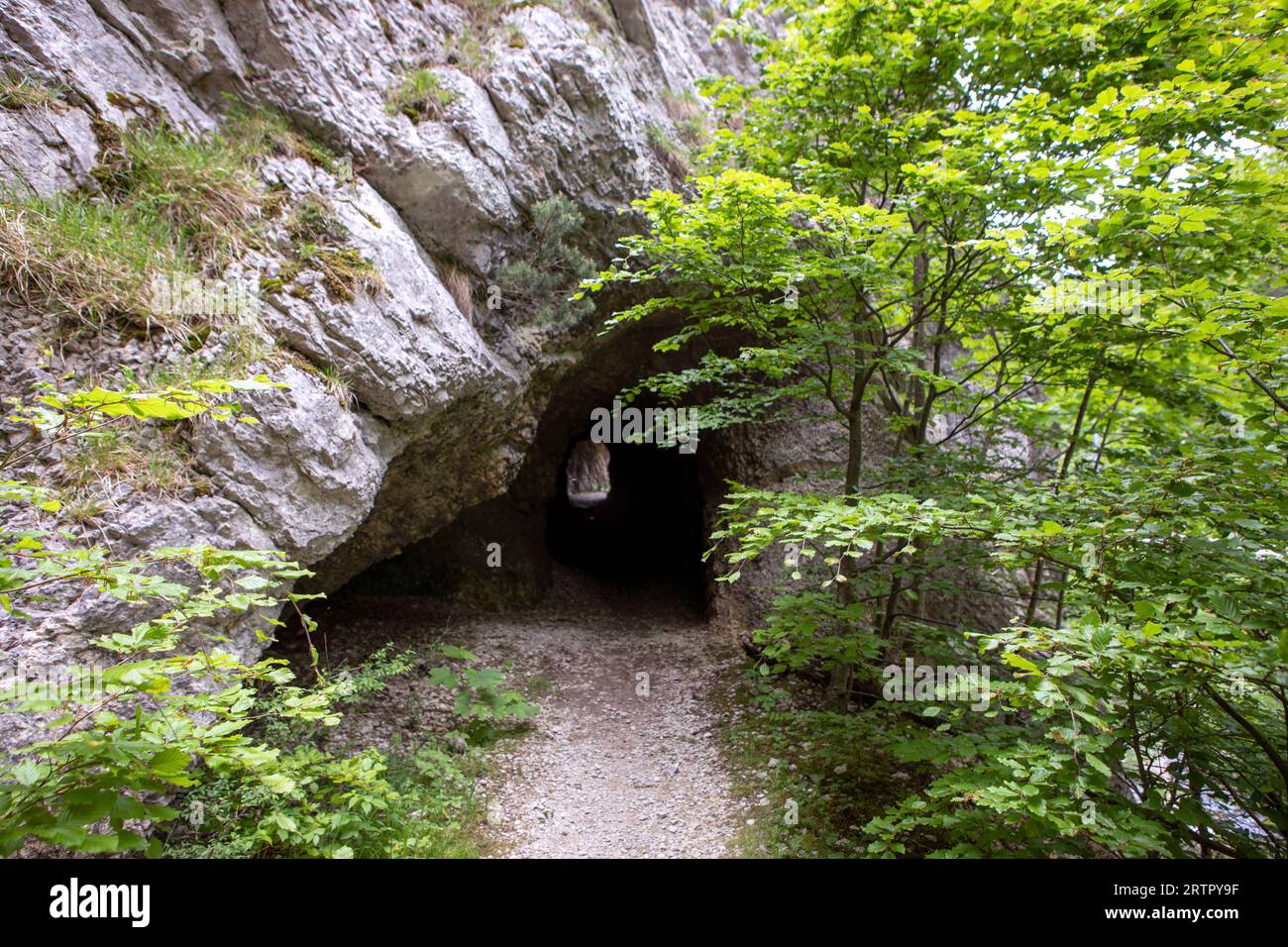 Rock wall with entrance to the tunnel cave in Jura mountains, hiking path trail, light at the end of tunnel. Green trees. Gorges de Court, Switzerland Stock Photo