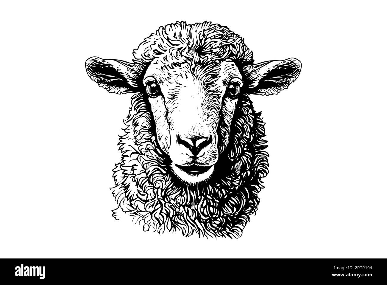 Cute sheep or lamb head engraving style vector illustration. Realistic image. Stock Vector