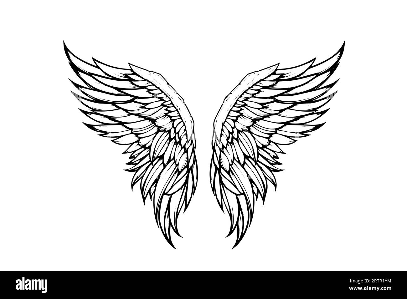 Angel Wings Ink Sketch In Engraving Style. Hand Drawn Fenders Vector 