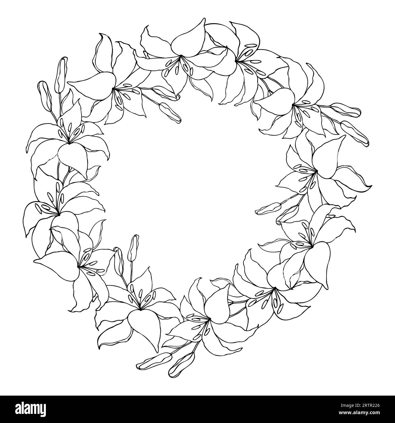 Lilly flower line art garland circle wreath set, vector background Stock Vector