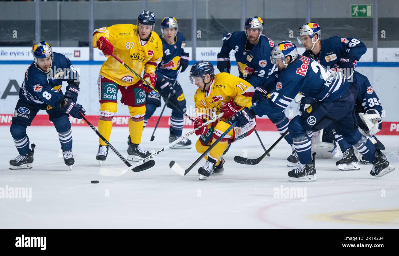 Munich, Germany. 14th Sep, 2023. Ice hockey: DEL, EHC Red Bull München - Düsseldorfer EG, Hauptrunde, 1st game day at Olympia-Eissportzentrum. Austin Ortega (front l) and Nicolas Krämmer (front r) of Munich and Philip Gogulla (front 2.f.l.) and Kevin Clark of Düsseldorf fight for the puck. Credit: Sven Hoppe/dpa/Alamy Live News Stock Photo