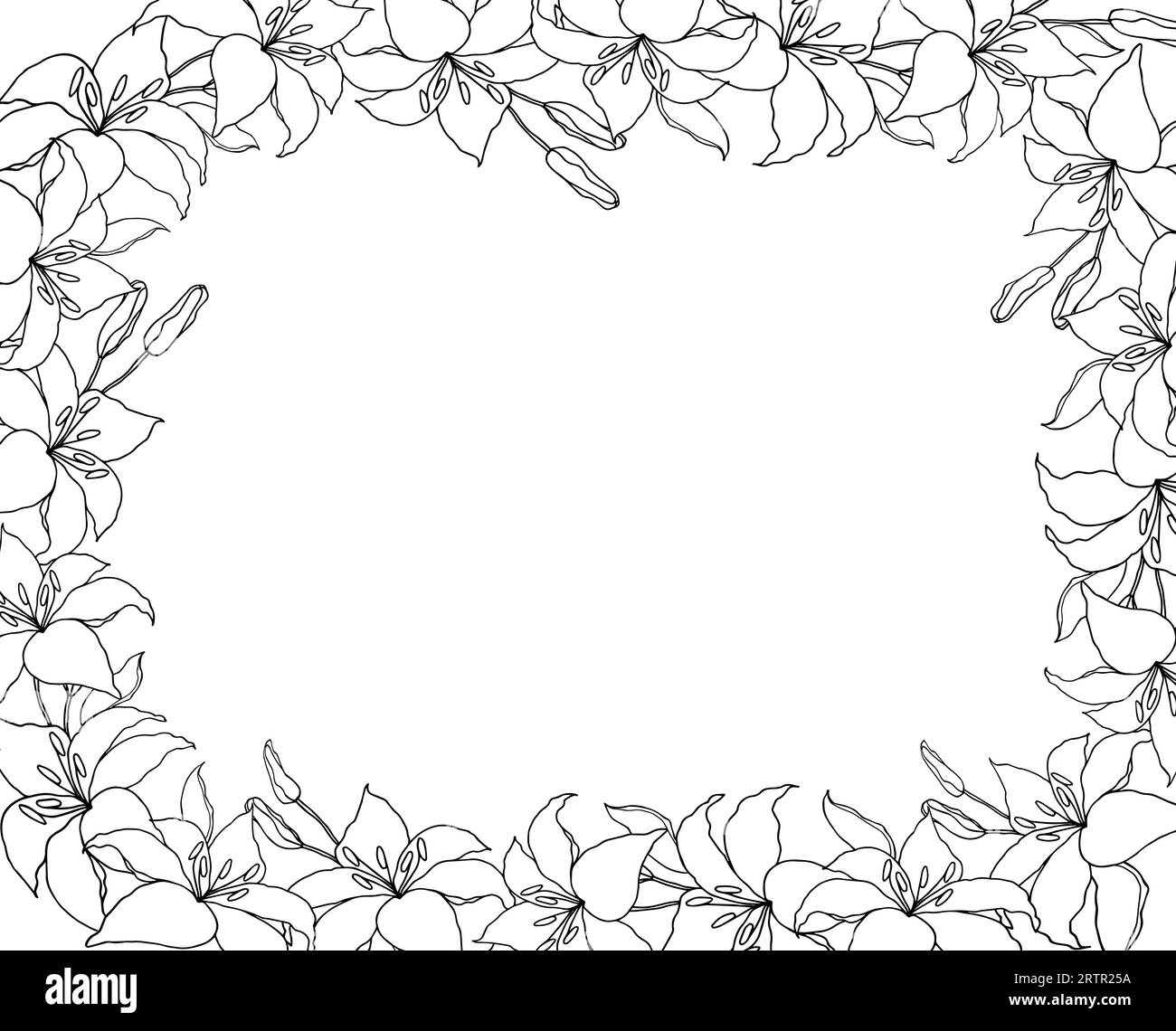 Lillie's line art flower background for wedding card or invitations. Hand drawn vector illustration template. Stock Vector