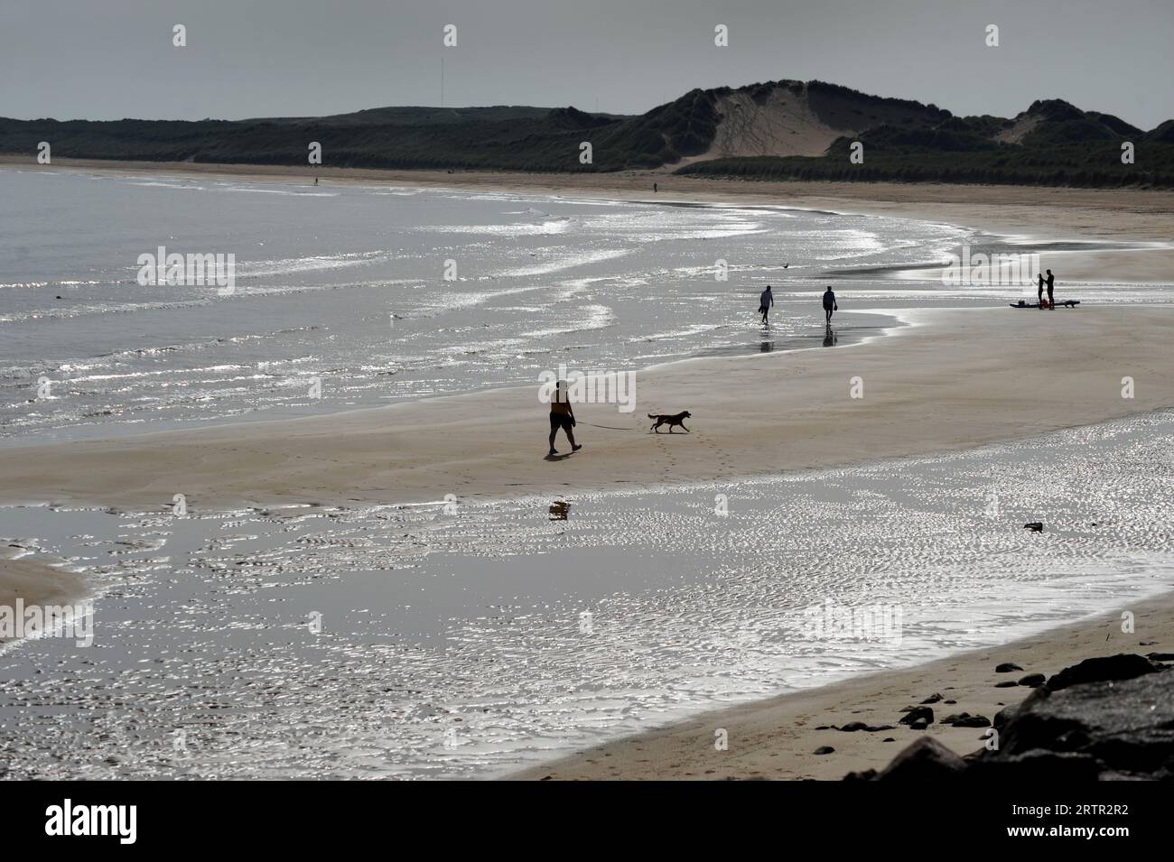WALKERS ENJOYING FRASERBURGH BEACH IN ABERDEENSHIRE SCOTLAND UK RE HOLIDAYS FUN SUNNY DOG WALKERS EXERCISE MENTAL HEALTH SEA SAND ETC Stock Photo