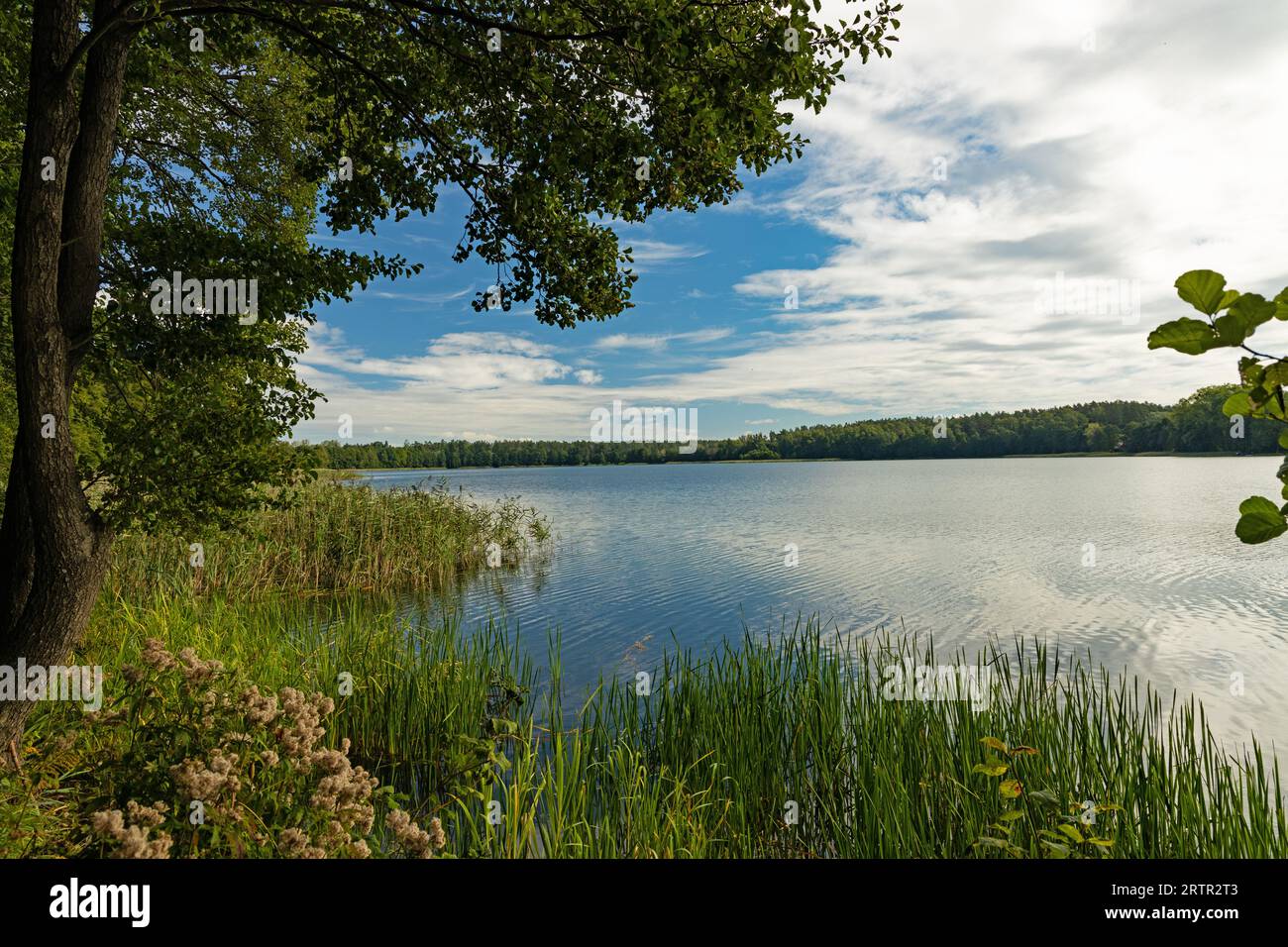 view over lake Olow in Ryn in Poland Stock Photo