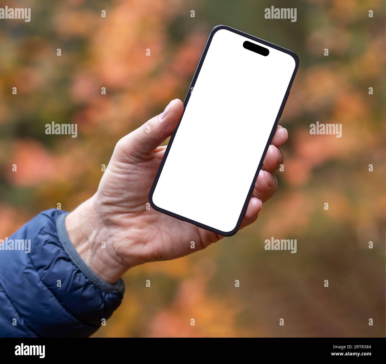 Hand holding mobile phone screen mock up over fall background Stock Photo