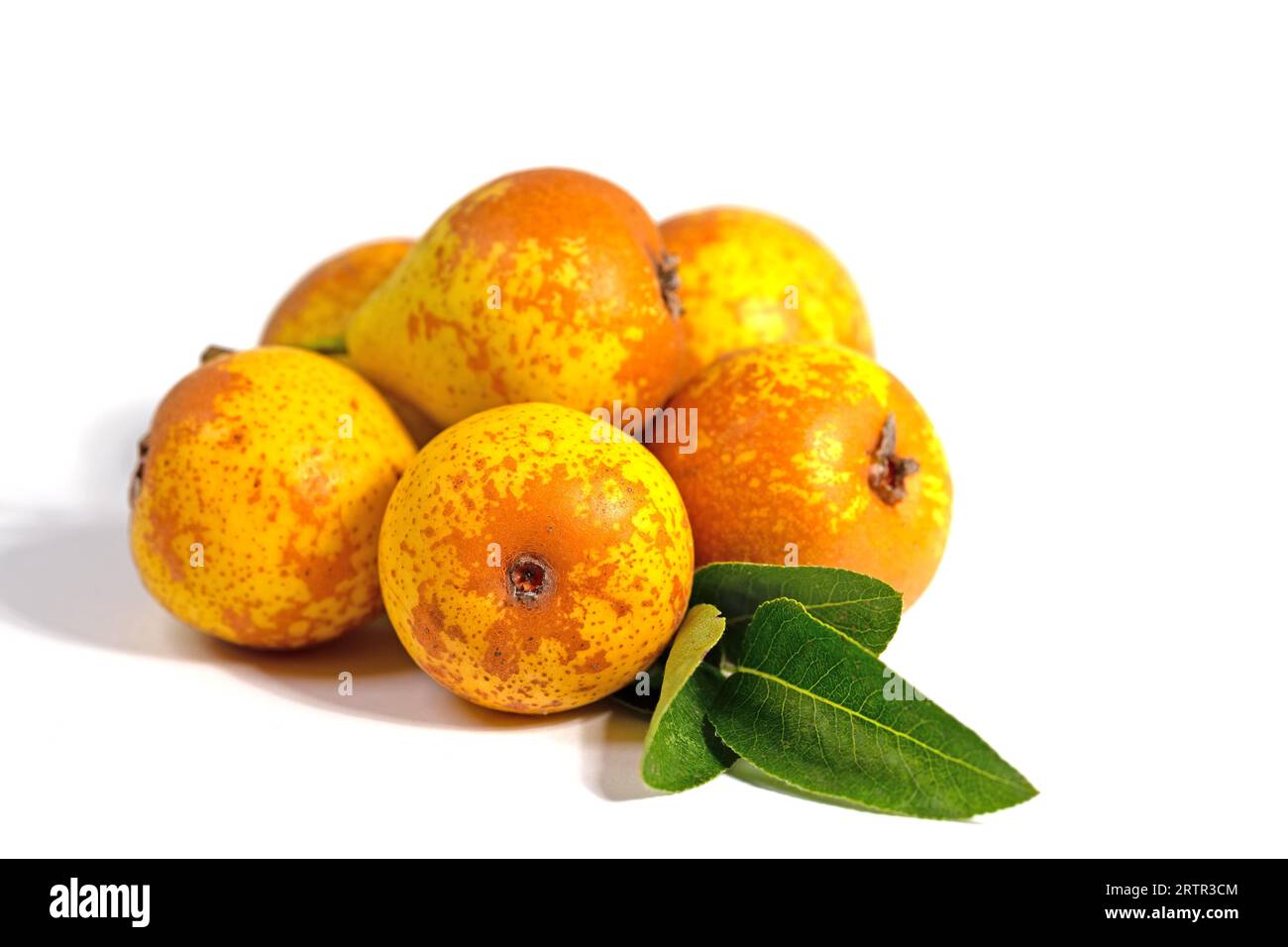 Ripe pears, Pyrus, in front of a white background Stock Photo