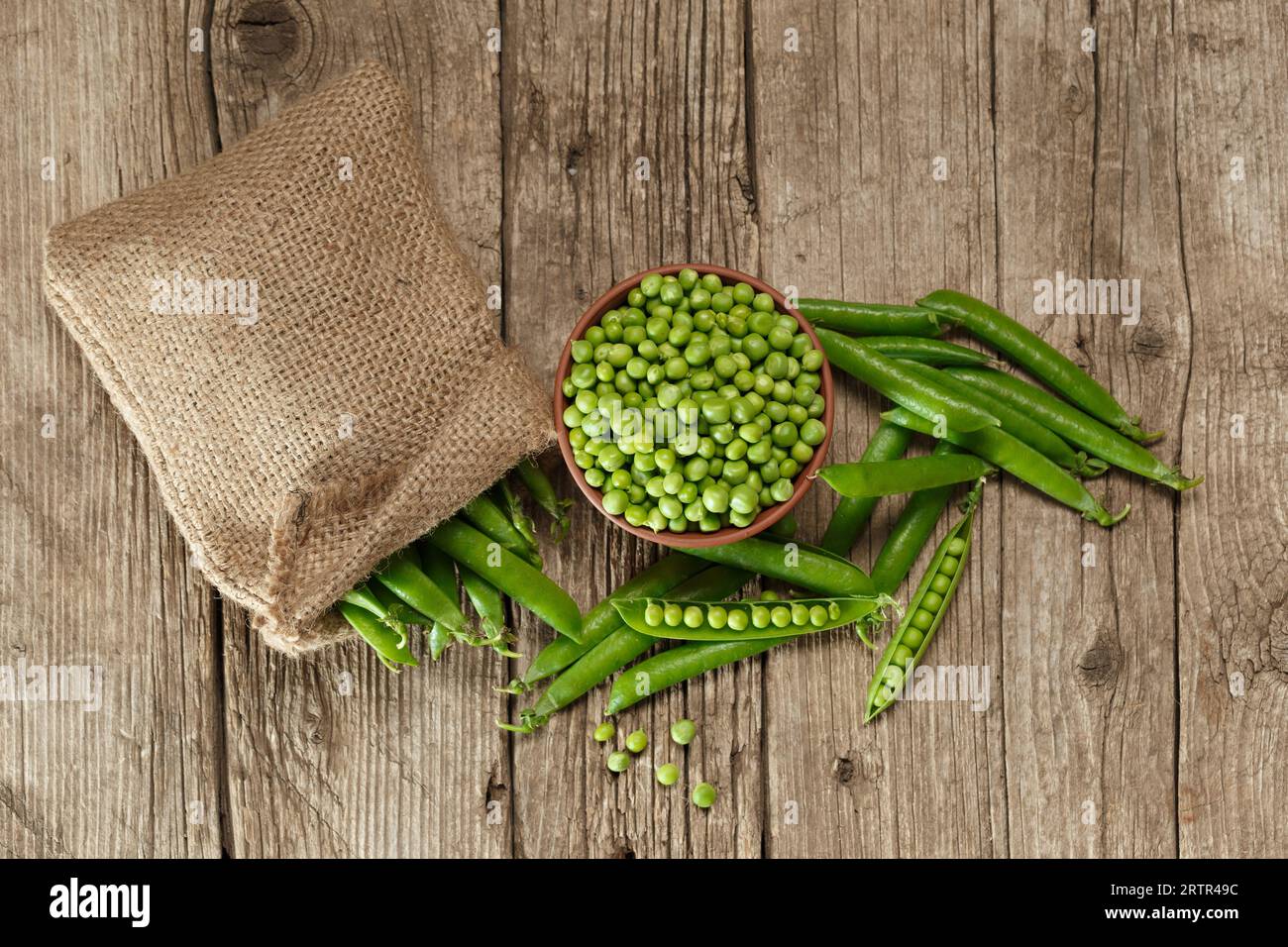 Pods of fresh green peas in a burlap bag, shelled peas in a clay bowl, sweet organic green peas in closed and open pods on an aged wooden background Stock Photo