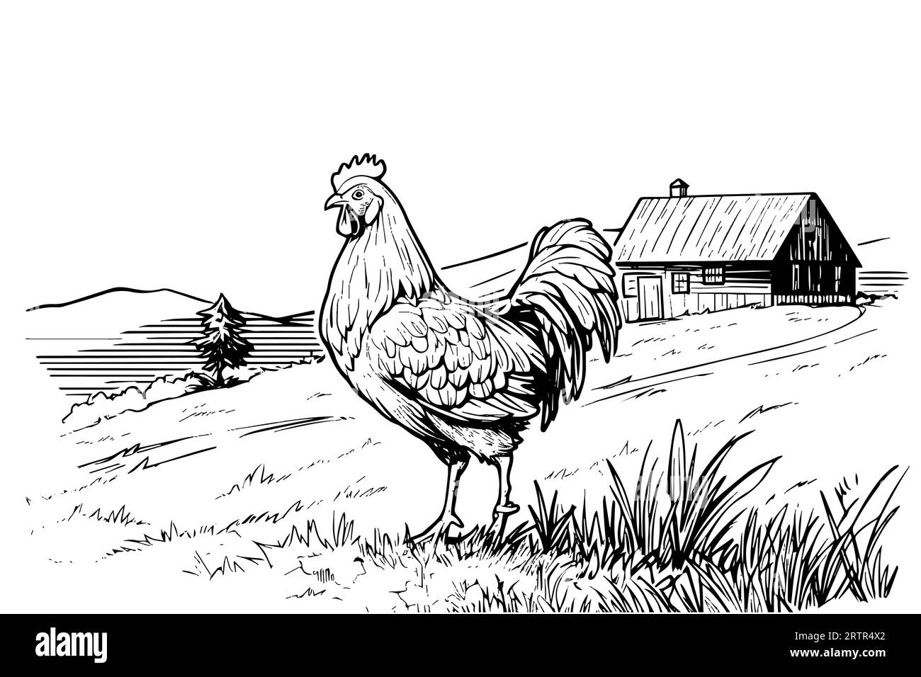 Chickens in farm sketch. Rural landscape in vintage engraving style vector illustration. Stock Vector