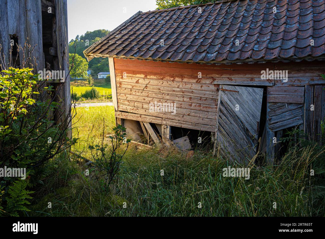 Old abandoned red barn where the paint has come of Stock Photo - Alamy