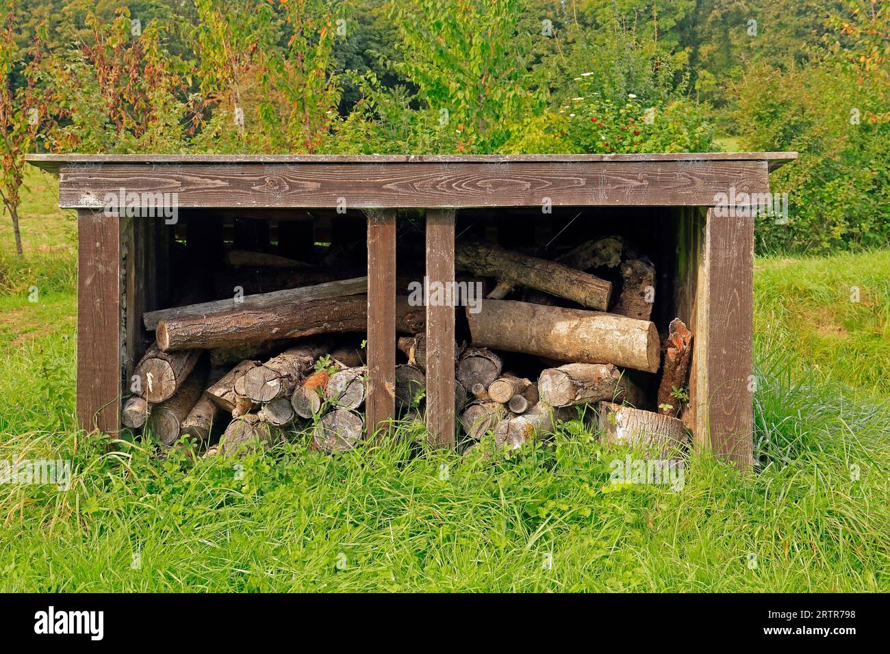 Mediaeval village at Cosmeston Lakes and Country Park, South Wales. Taken September 2023 Stock Photo