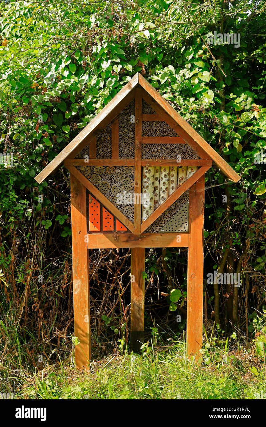 Wooden bee / bumble bee / insect house at Cosmeston Lakes and Country Park, South Wales. Taken September 2023 Stock Photo