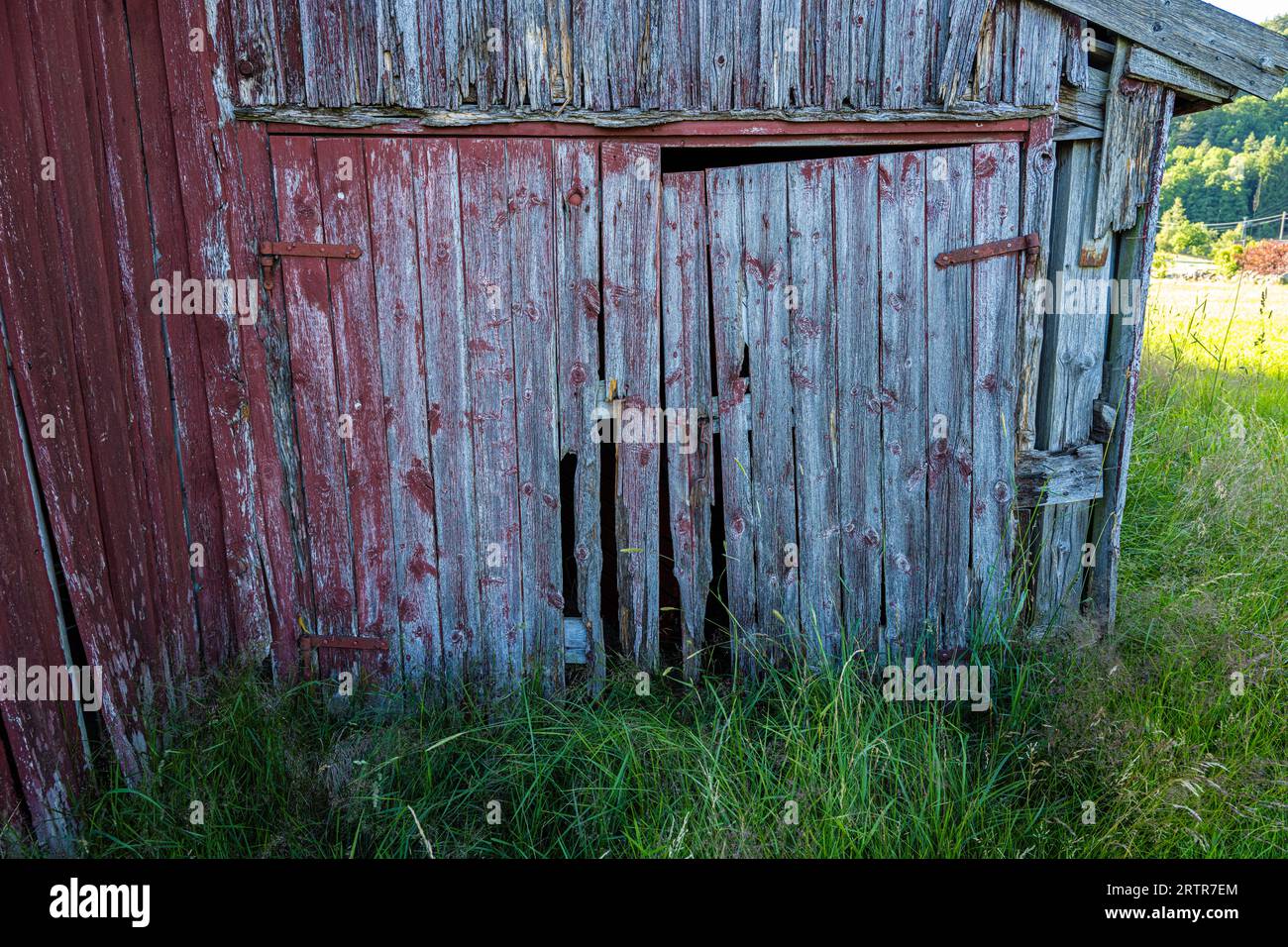 Port of an old abandoned red barn Stock Photo - Alamy