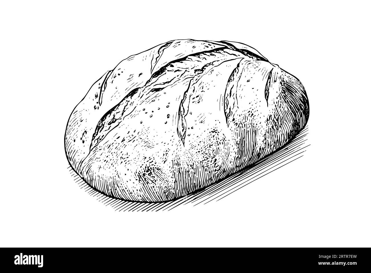 Loaf of bread. Vector hand drawn vintage engraving style vector