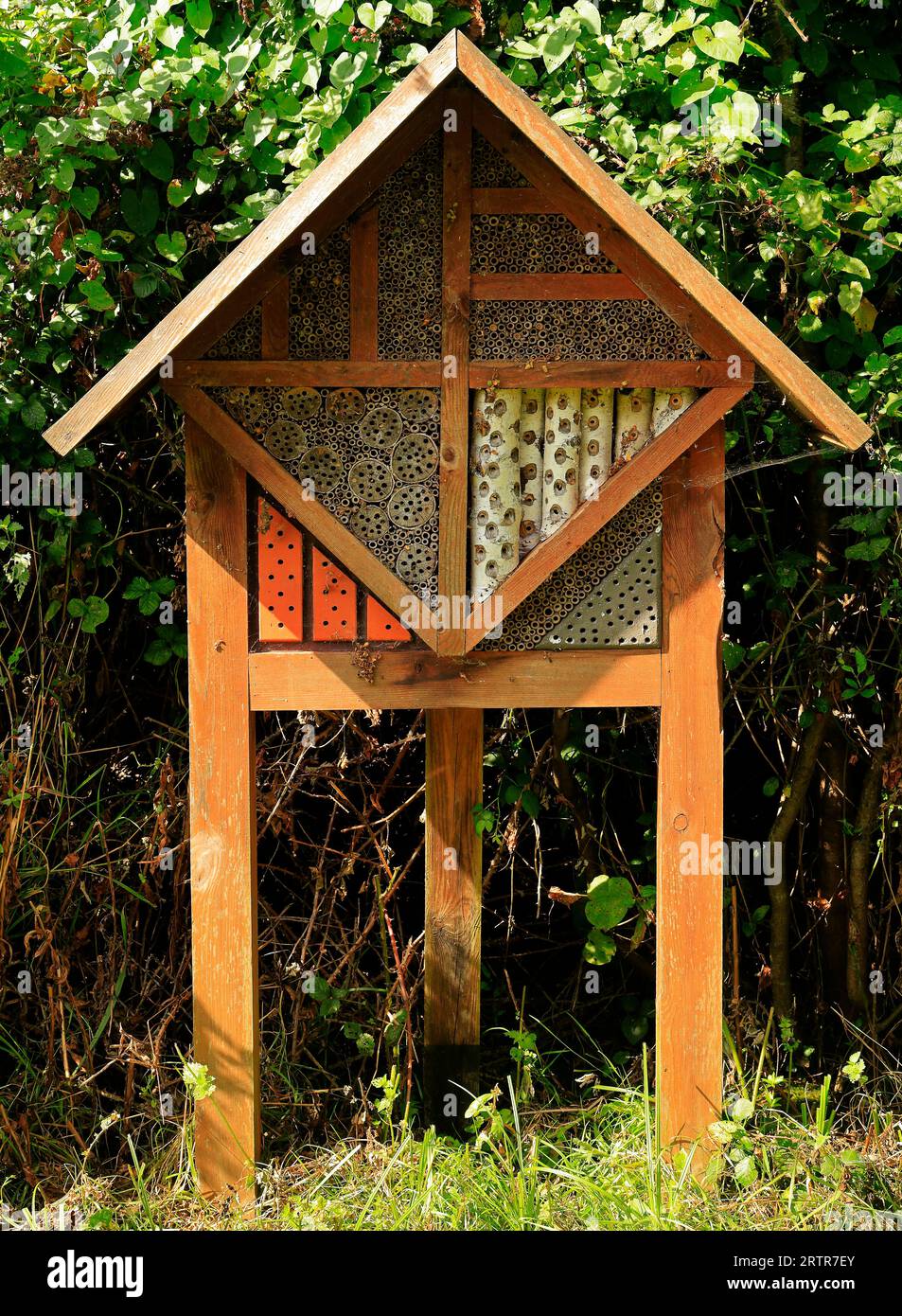 Wooden bee / bumble bee / insect house at Cosmeston Lakes and Country Park, South Wales. Taken September 2023 Stock Photo